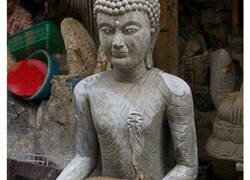 Enlace a Gatos posando al lado de estatuas demostrando que son grandes modelos