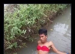 Enlace a La versión definitiva