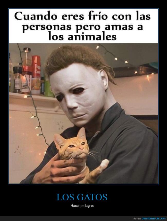 personas,animales,gatos