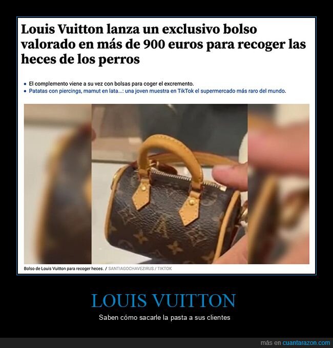 louis vuitton,bolso,recoger,caca,perros