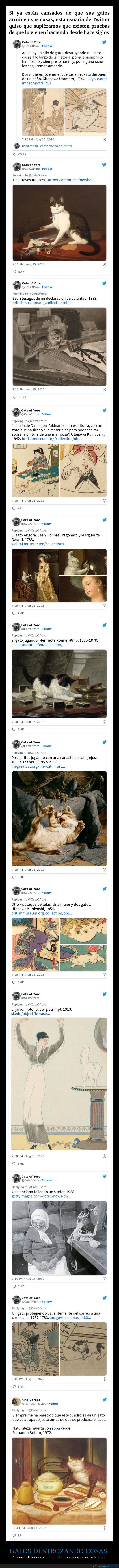 gatos,destrozando cosas,historia
