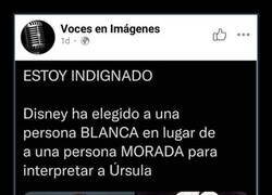 Enlace a Indignación