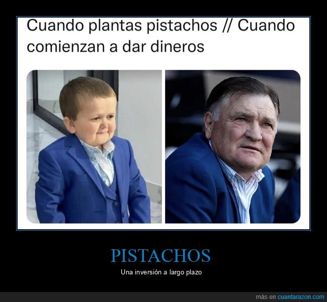 camacho,hasbulla,pistachos