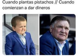 Enlace a Hay que armarse de paciencia