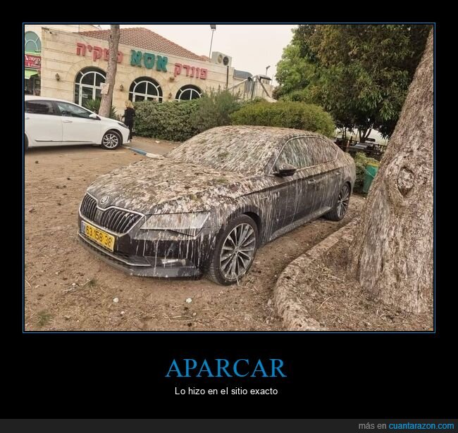 cagado,coches,fails