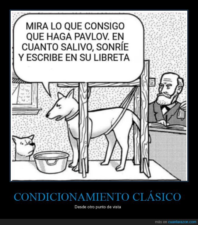 condicionamiento clásico,perro de pávlov,salivar