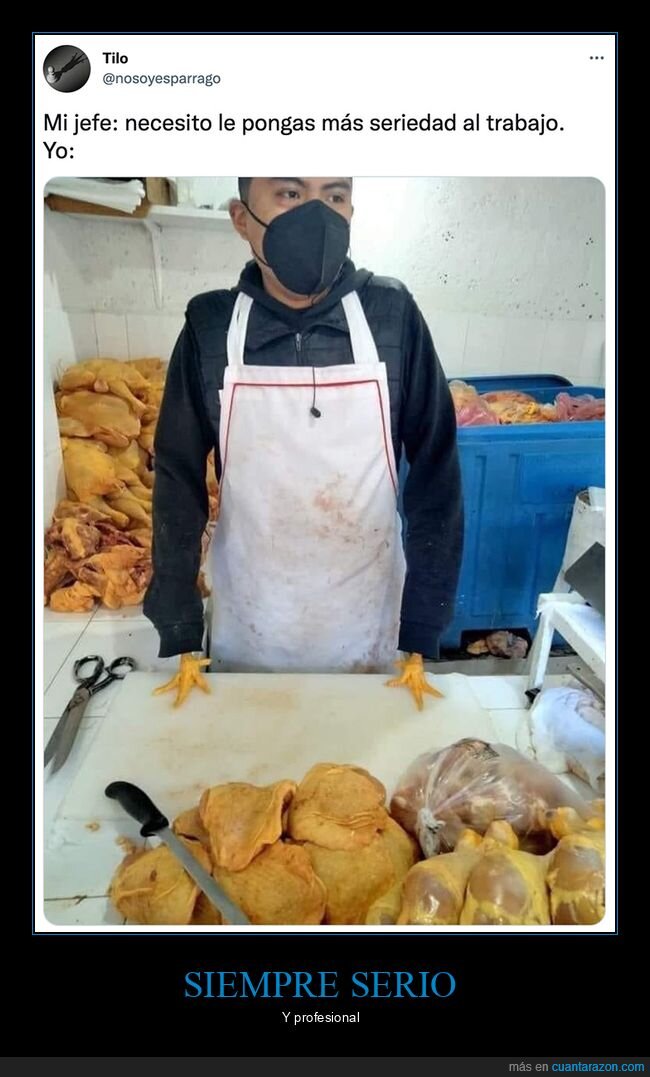 patas,pollo,seriedad,trabajo