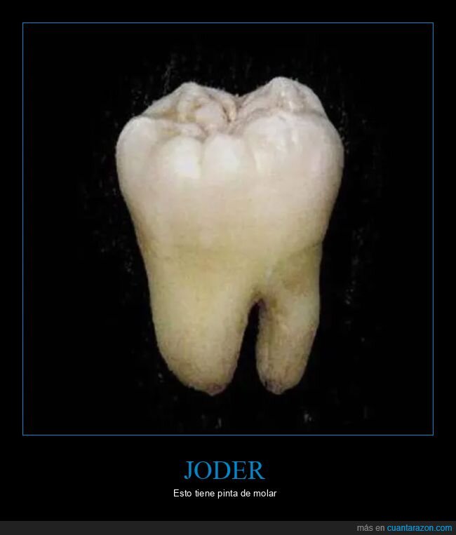 molar