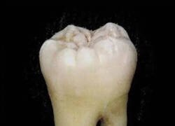 Enlace a Tiene toda la pinta, sí...