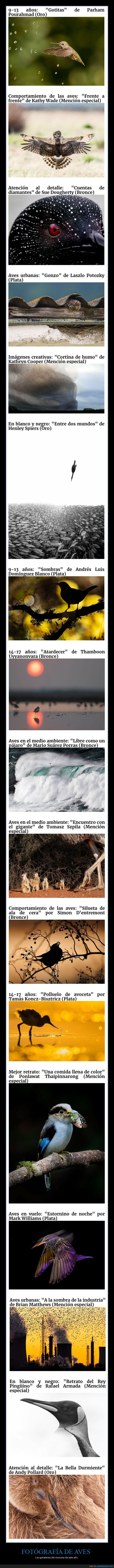 concurso,fotograf&iacute;a,aves