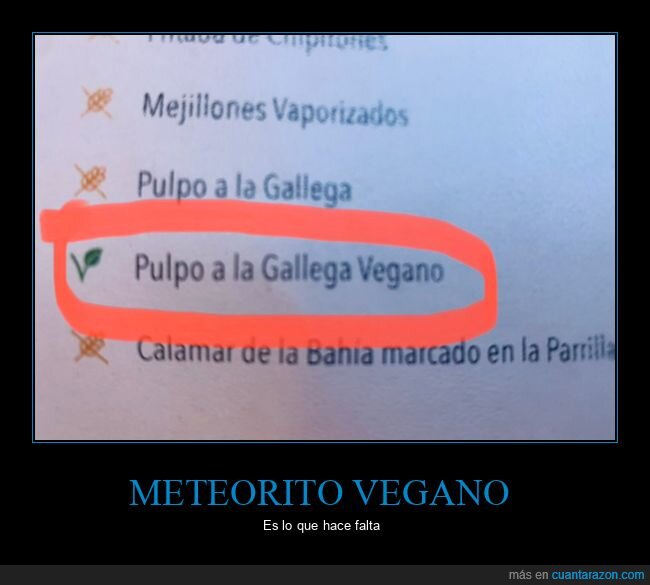 pulpo,vegano,wtf