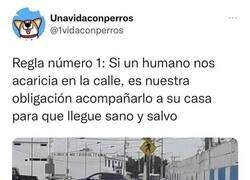 Enlace a Atendiendo al maestro