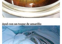 Enlace a Fotos muy llamativas de «pintura sin mezclar»