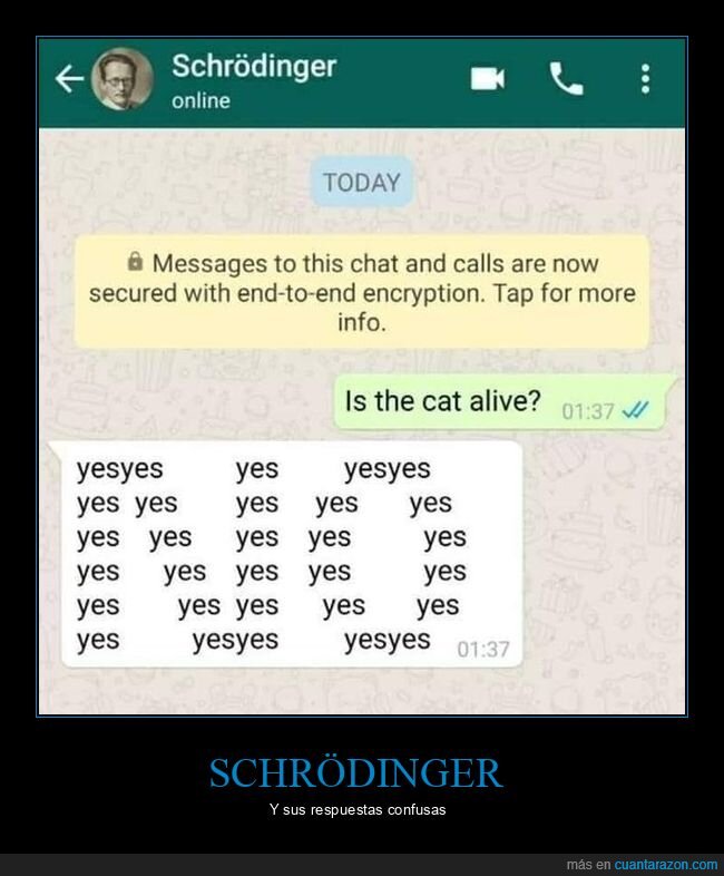 schrödinger,gato,vivo