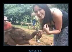 Enlace a Dame 10 minutos más...