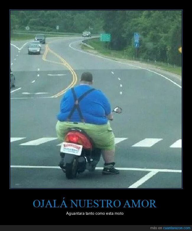 gordo,motos,wtf