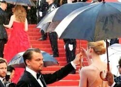 Enlace a Leo no aprende...