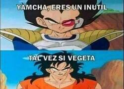 Enlace a Punto para Yamcha