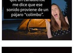 Enlace a Choques culturales a los que esta mujer británica tuvo que acostumbrarse tras mudarse a Canadá