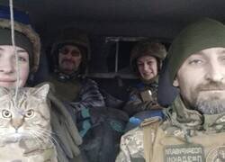 Enlace a Escuadrón de élite