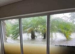 Enlace a Una imagen vale más que mil campañas