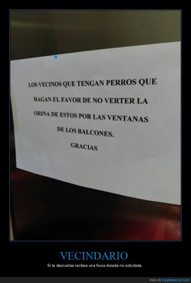 carteles,perros,pis,vecinos,wtf