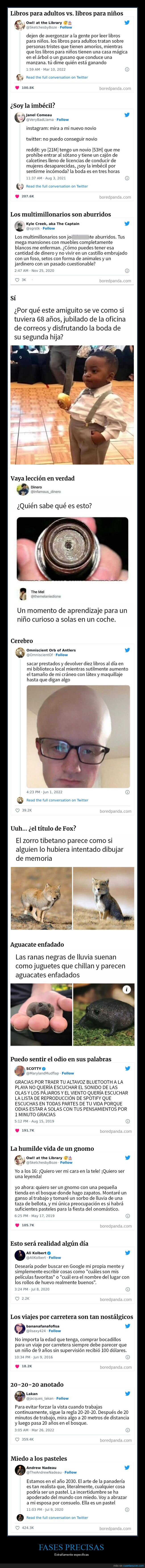 frases precisas,específicas