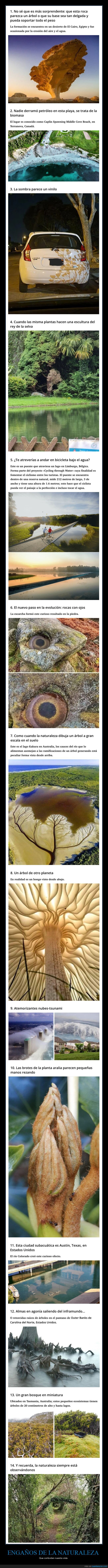 engaños,naturaleza,mindfuck