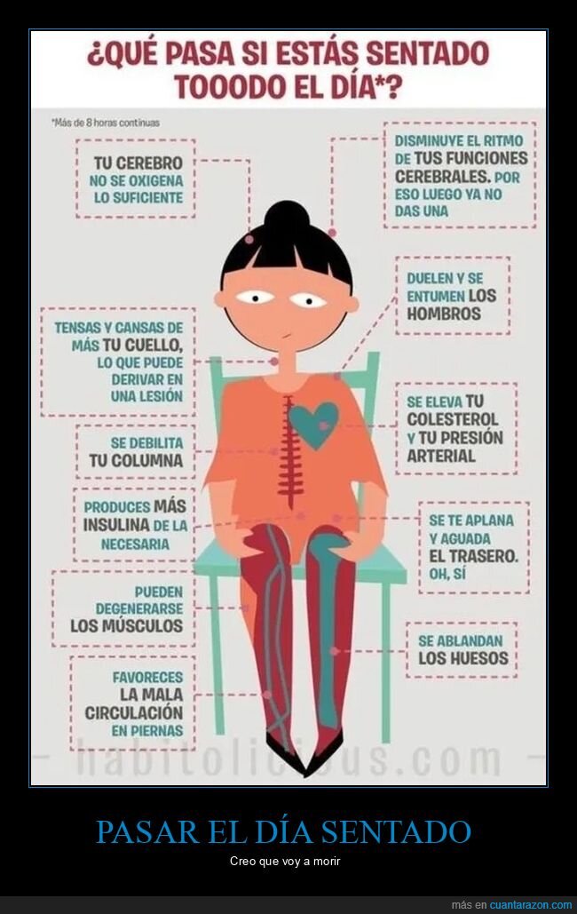 curiosidades,sentado,todo el día