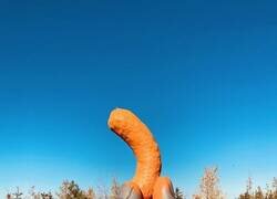 Enlace a El Cheeto más grande del mundo