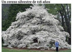 Enlace a Personas que encontraron algo que les hizo decir «Esto es genial»