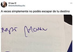 Enlace a El mejor nombre para un ginecólogo