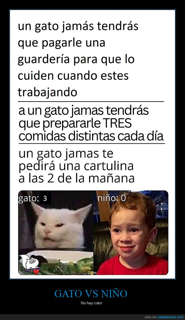 gato,niño,comparativa