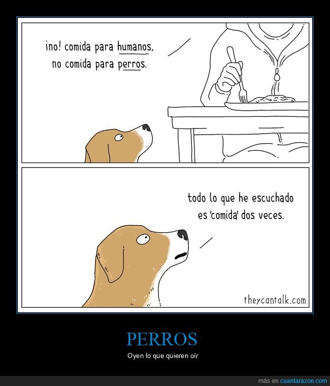 comida,humanos,perros