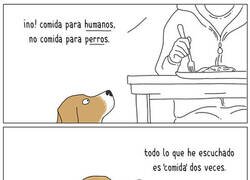 Enlace a Oído selectivo
