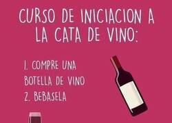 Enlace a Instrucciones para ser un catador profesional