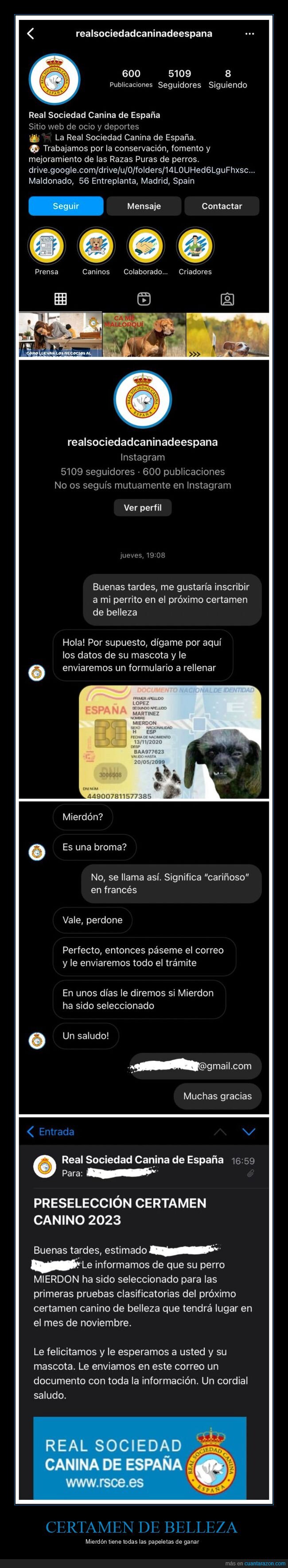 certamen de belleza,mierdón,trolling