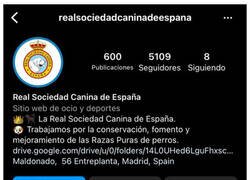 Enlace a Inscribiendo a su querida mascota en un certamen de belleza