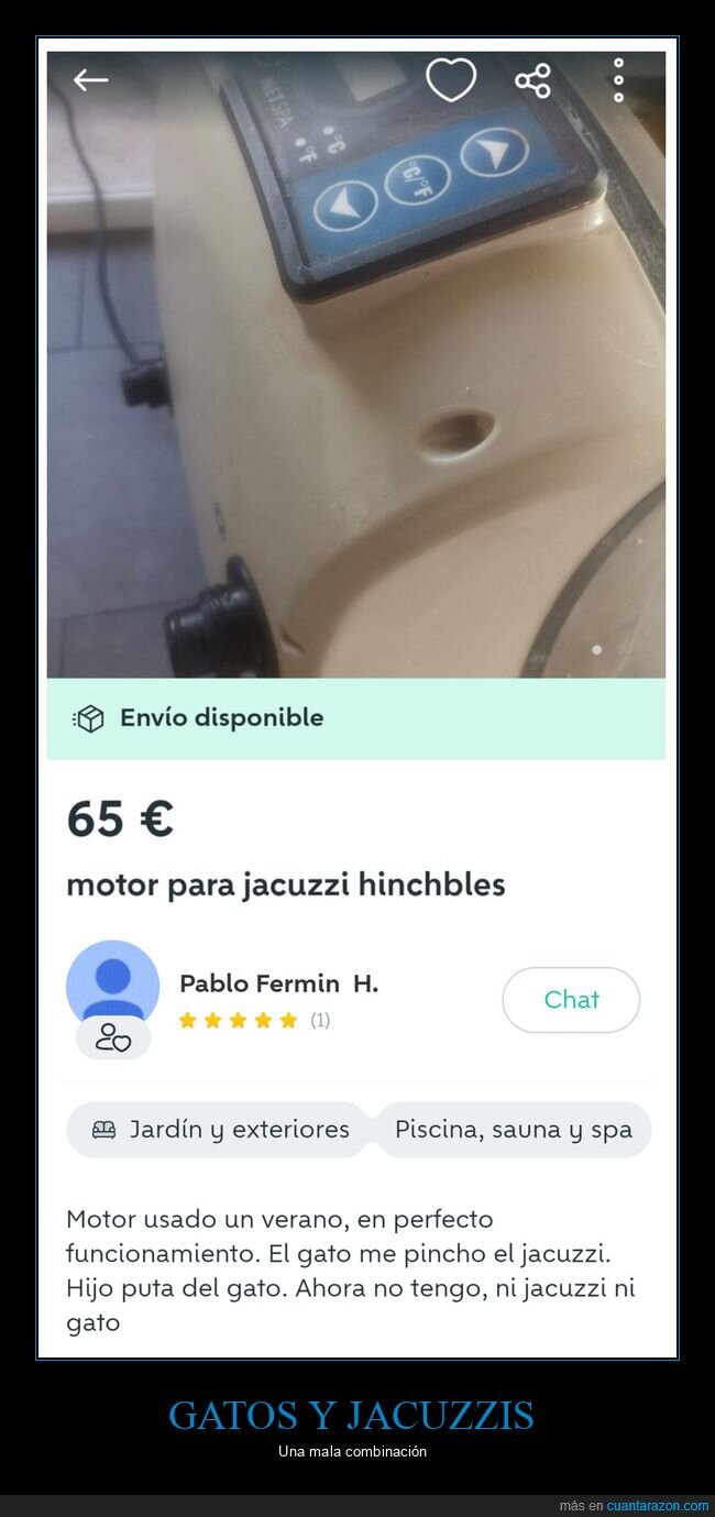 gatos,jacuzzi,wallapop