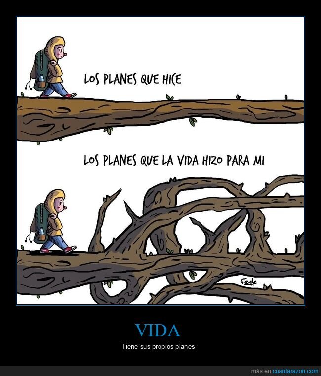 planes,vida