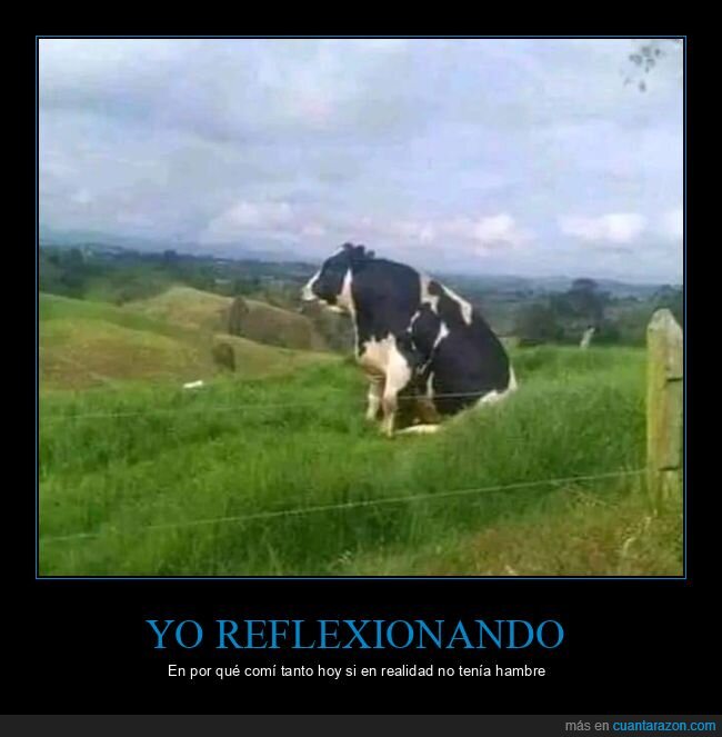 vaca,reflexionando,comer,hambre