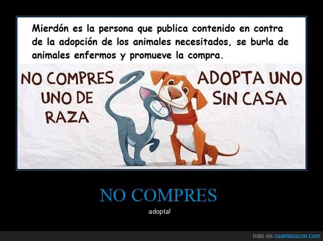 perros,adoptar,mierdón