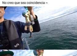 Enlace a El cebo adecuado