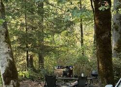 Enlace a Día de campo