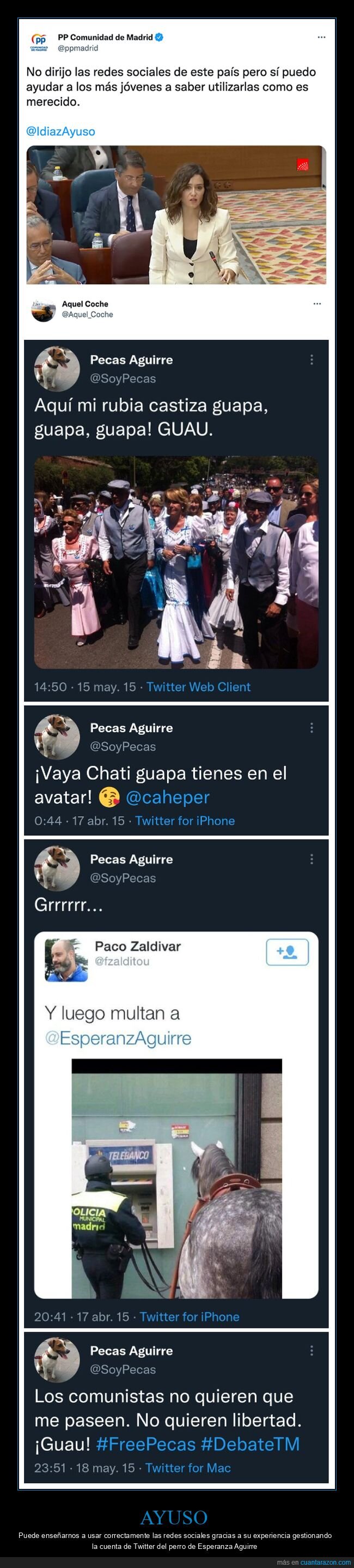 díaz ayuso,esperanza aguirre,pecas aguirre,perros,políticos,redes sociales