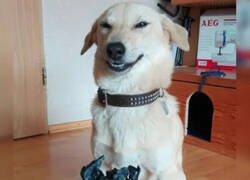 Enlace a Hora de pasear
