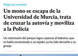 Enlace a Mono a la fuga