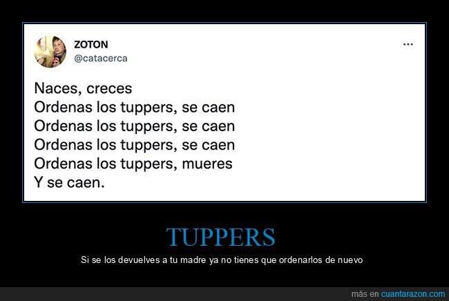 caer,crecer,morir,nacer,ordenar,tuppers