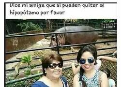 Enlace a Hay que ser troll...