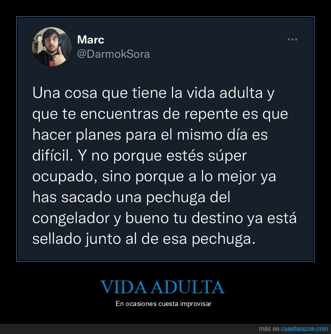 vida adulta,planes,pechuga,congelador